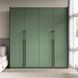 Шкаф распашной с полками и штангой на 4 двери R-0019 от Moreli, Зеленый дымчастый, 196.8 см, 210-250 см, 57 см, Нет, 1 пара ящиков