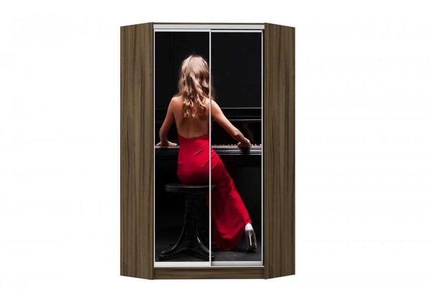 Шкаф-купе угловой Фотопечать, LuxeStudio, Ольха темная, С ящиками, цветной профиль, 120x45x200 см фото